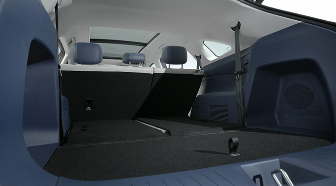 لاماری هیرکانی